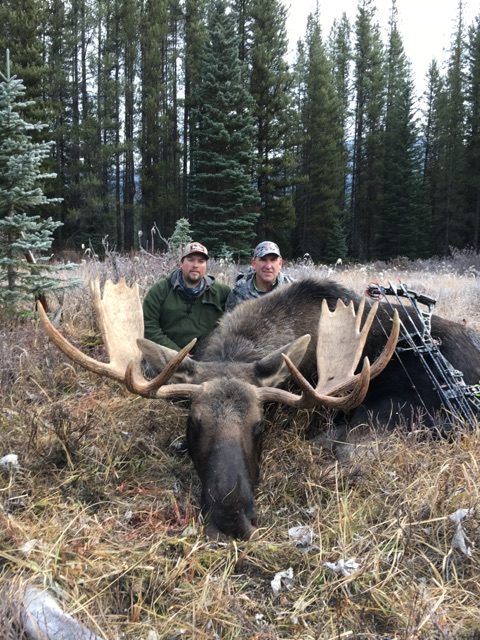 elk-valley-bighorn-game-Moose-IMG_2974-2000px-c82