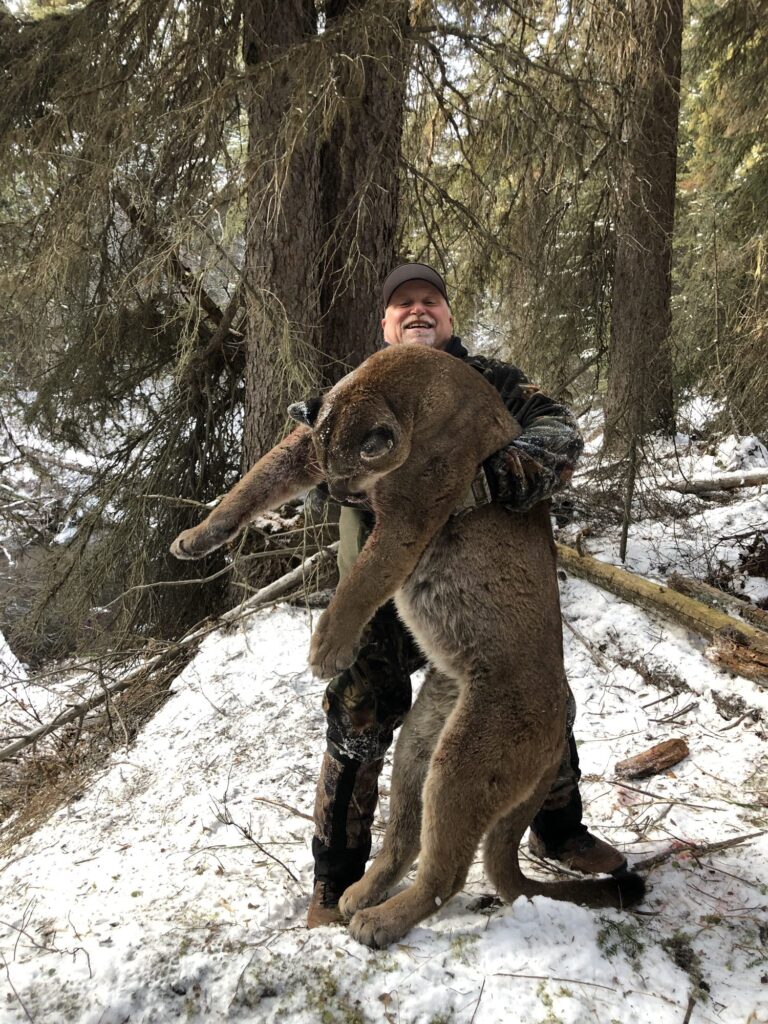 elk-valley-bighorn-game-cats-rrLzNuqeRKGyP8I7u6DAg-2000px-82p