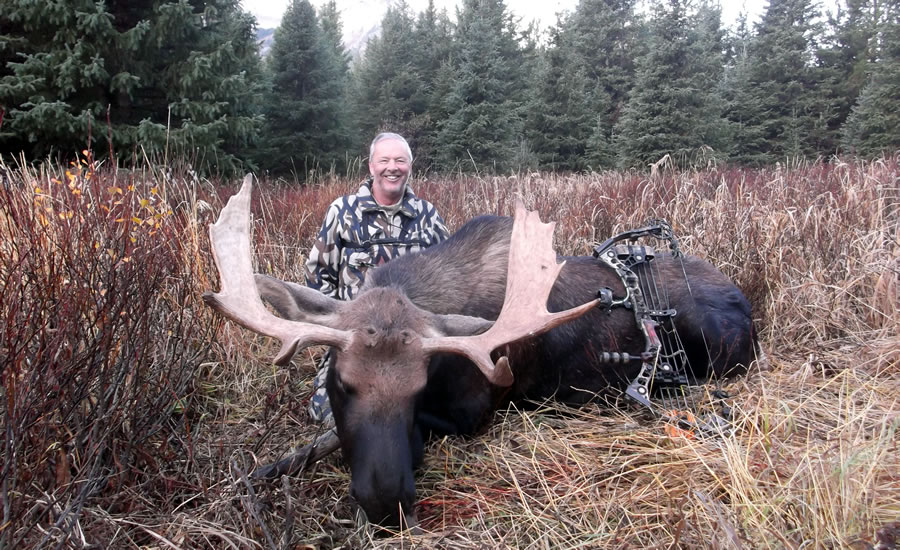 elk-valley-bighorn-game-moose-photo_moose2
