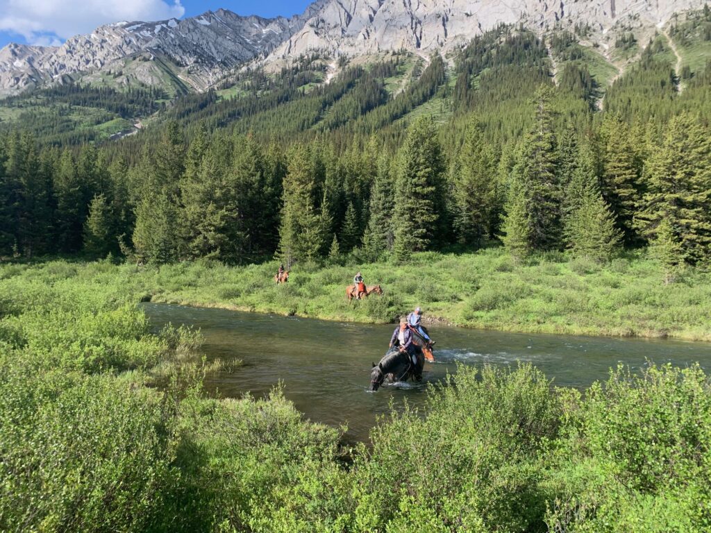 IMG_6676_compressed