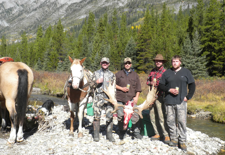 elk-valley-bighorn-moose-photo_moose6