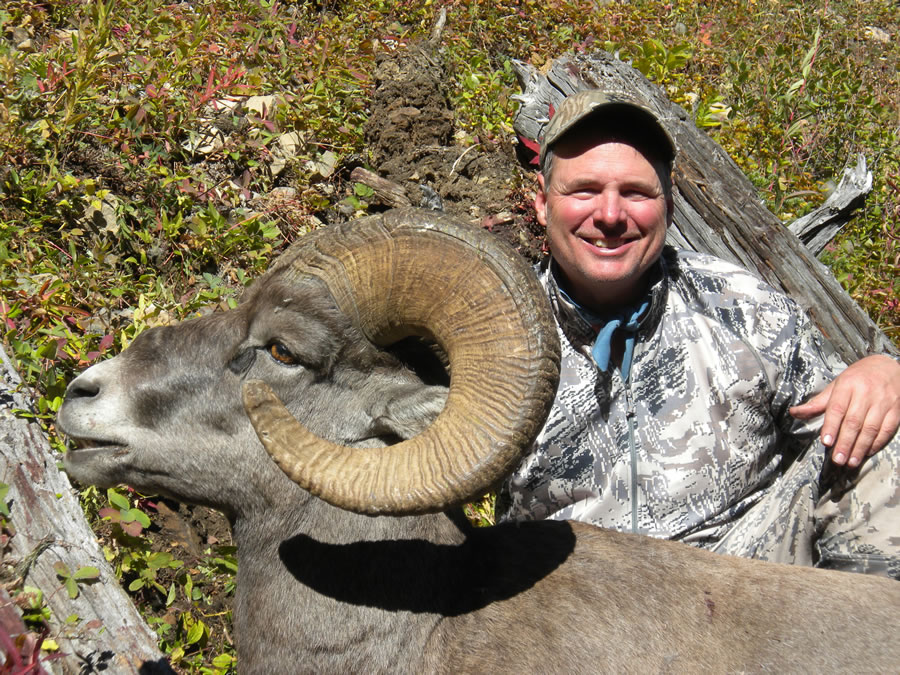 photo_sheep1