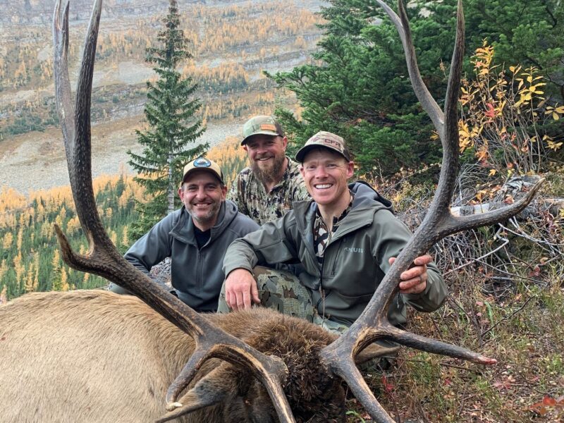 elk-valley-bighorn-new elk hero - 2022 elk-85p-2000px
